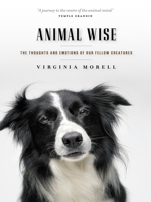 Title details for Animal Wise by Virginia Morell - Available